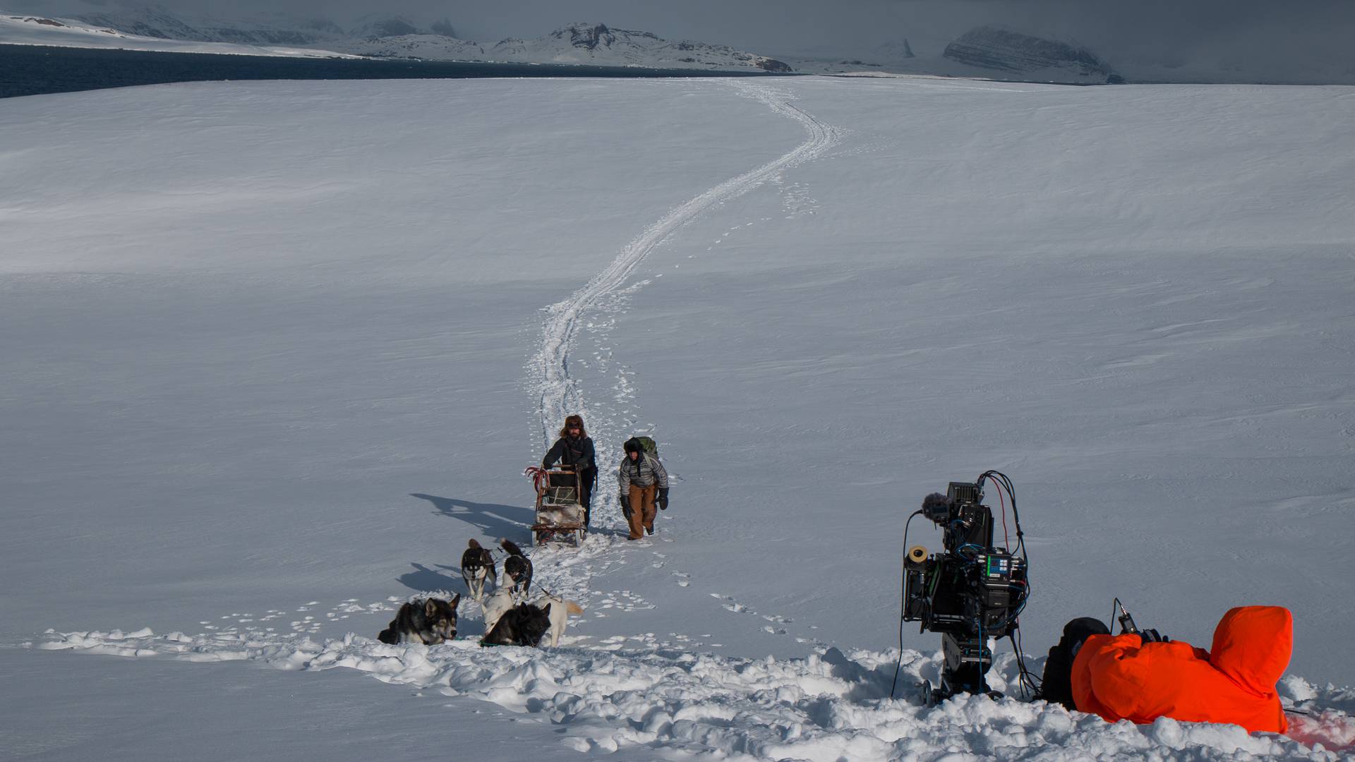 Taking shoots of a dog sledge