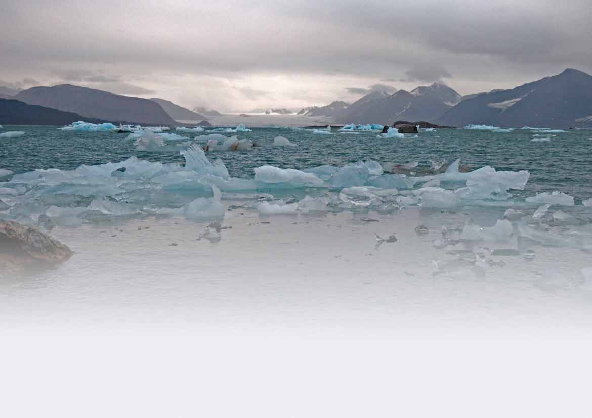 global village shows the change of clima in the arctic